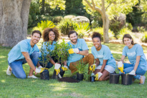 Group of volunteer planting in park